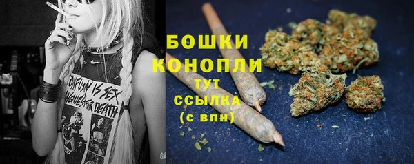 дмт Фёдоровский
