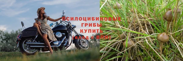 дмт Фёдоровский