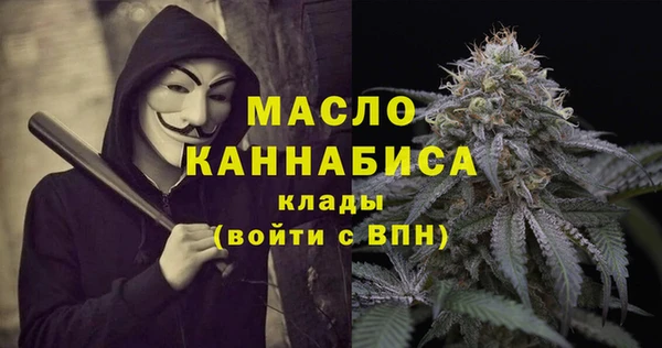 дмт Фёдоровский