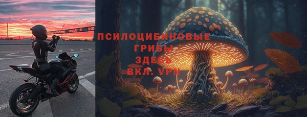 ALPHA PVP Нестеровская