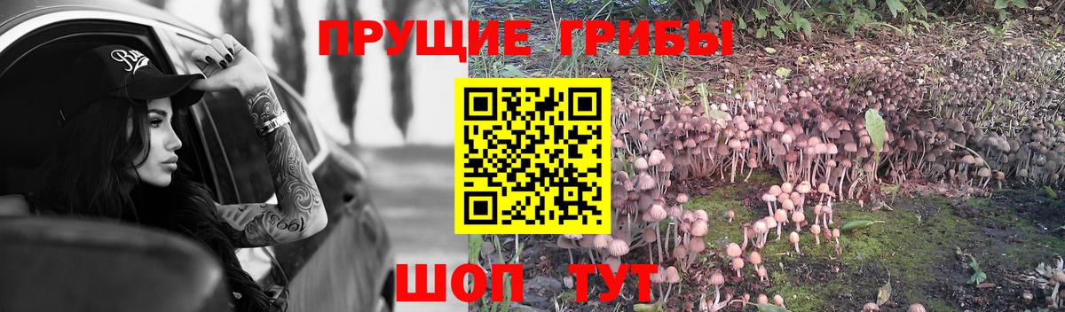 Псилоцибиновые грибы MAGIC MUSHROOMS  Галлюциногенные грибы мухоморы  Великие Луки 