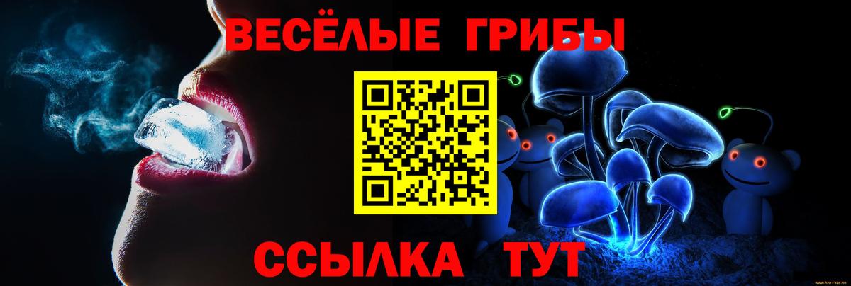 Псилоцибиновые грибы мицелий Великие Луки